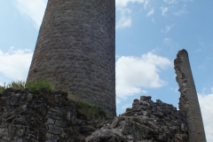 24_PiegutPluviers_2012_009