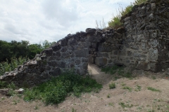 24_PiegutPluviers_2012_010