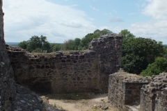 24_PiegutPluviers_2012_013