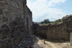 24_PiegutPluviers_2012_014