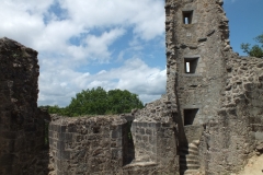 24_PiegutPluviers_2012_019