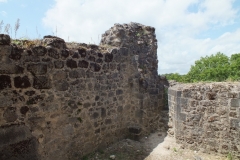 24_PiegutPluviers_2012_020
