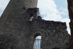 24_PiegutPluviers_2012_022