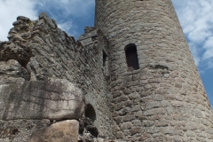 24_PiegutPluviers_2012_026
