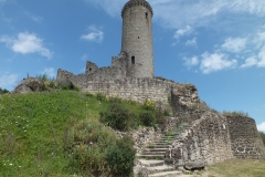 24_PiegutPluviers_2012_039