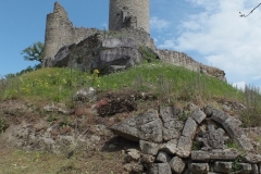 24_PiegutPluviers_2012_040
