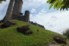 24_PiegutPluviers_2012_047