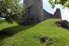 24_PiegutPluviers_2012_048