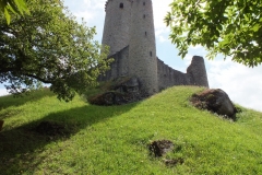 24_PiegutPluviers_2012_049