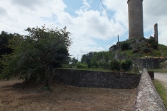 24_PiegutPluviers_2012_050