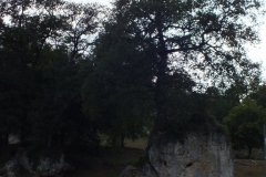 24_Ramefort_2012_008