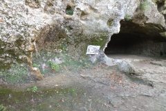 24_RoqueSaintChristophe_2011_016
