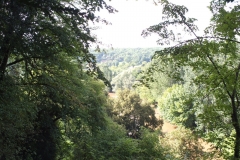 24_RoqueSaintChristophe_2011_031