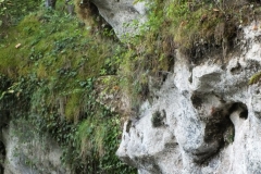 24_RoqueSaintChristophe_2011_131