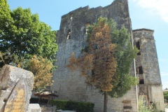 32_Larresingle_2013_028