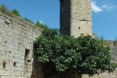 32_Larresingle_2013_033