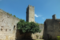32_Larresingle_2013_034