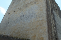 32_Larresingle_2013_037