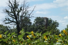 32_Luzan_2013_001