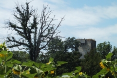 32_Luzan_2013_004