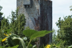 32_Luzan_2013_007