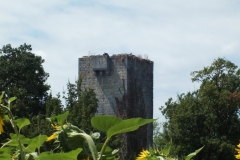 32_Luzan_2013_008