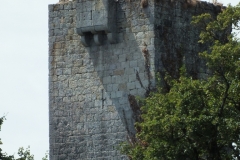 32_Luzan_2013_012