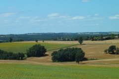 32_Tauzia_2013_004