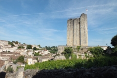 33_SaintEmilion_2012_074