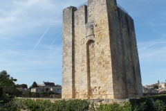 33_SaintEmilion_2012_090