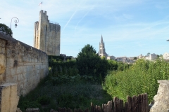 33_SaintEmilion_2012_094