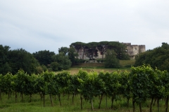 33_Benauge_2014_010