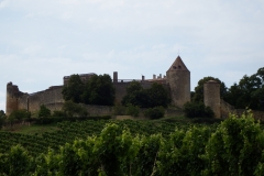 33_Benauge_2014_023