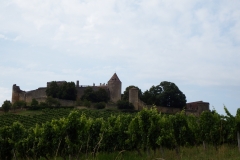 33_Benauge_2014_024
