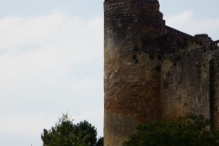 33_Benauge_2014_033