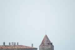 33_Benauge_2014_041
