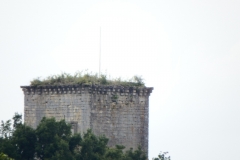 33_Curton_2014_002