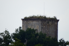 33_Curton_2014_003