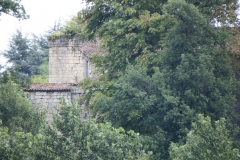 33_Curton_2014_013