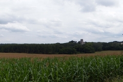 33_Curton_2014_015