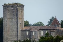 33_Curton_2014_024