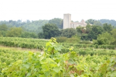 33_Curton_2014_025