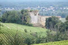 33_LePiedDuChateau_2014_004