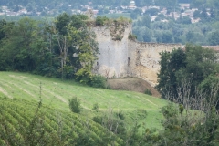 33_LePiedDuChateau_2014_005