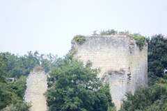 33_Malangin_2014_002