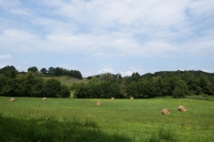 33_Malangin_2014_006