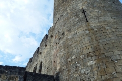 33_Rauzan_2014_017