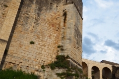 33_Rauzan_2014_039
