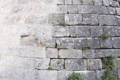 33_Rauzan_2014_045