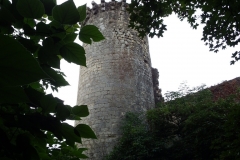 33_Rions_2014_037